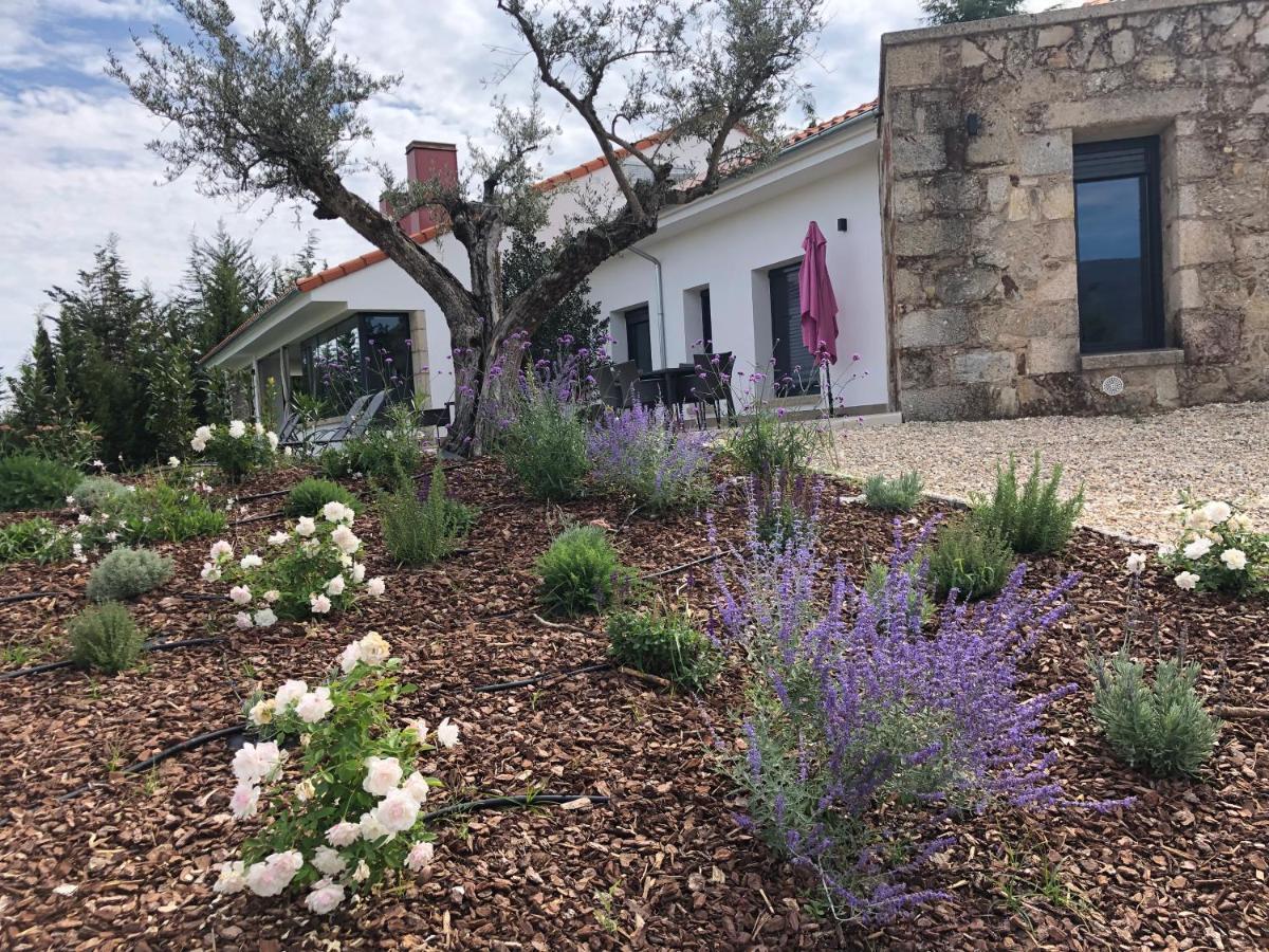 Apartamentos Rurales La Gloria De Yuste جاريز دي لا فيرا المظهر الخارجي الصورة